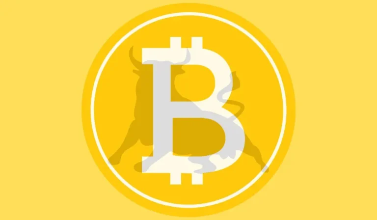 crypto bull run