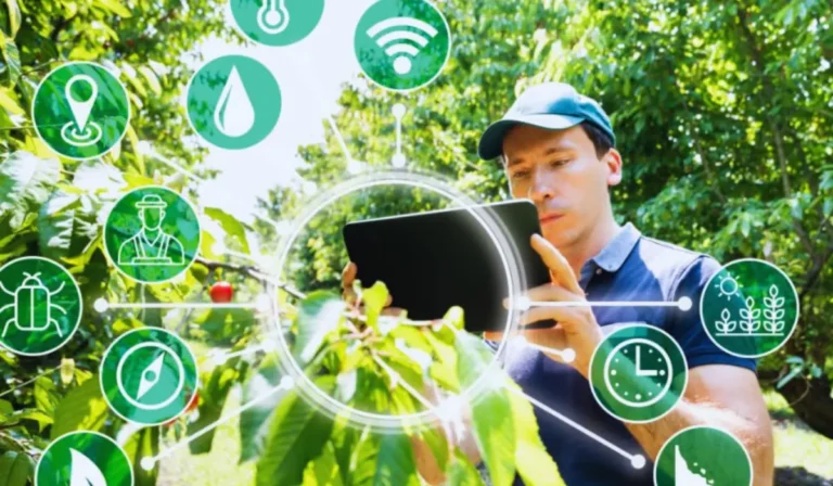 Blockchain in Agriculture